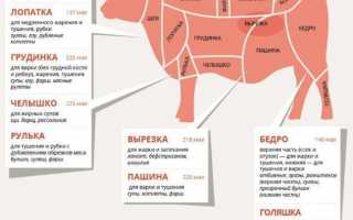 Как правильно выбрать говядину?