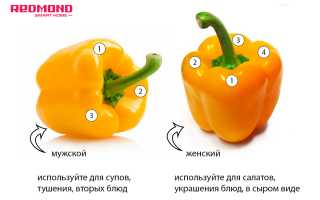 Как правильно выбрать болгарский перец?