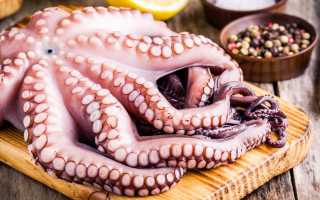 Как и сколько варить осьминога?