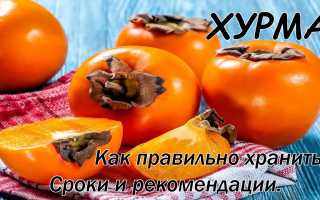 Как и где правильно хранить хурму?
