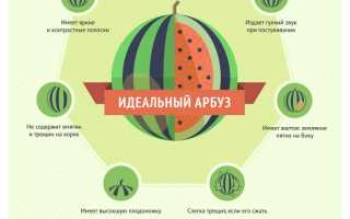 Как правильно выбрать арбуз?