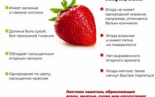 Как правильно выбрать клубнику?