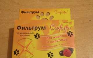 Как принимать таблетки и пастилки Фильтрум от отравления?