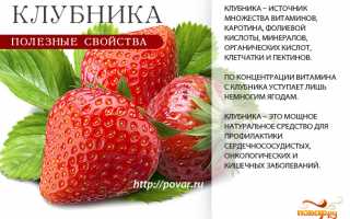 Польза и вред клубники
