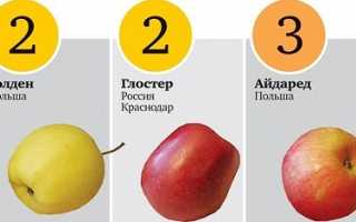 Как правильно выбрать яблоки?