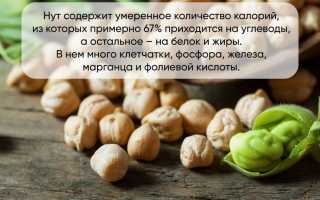 Польза и вред турецкого гороха нут