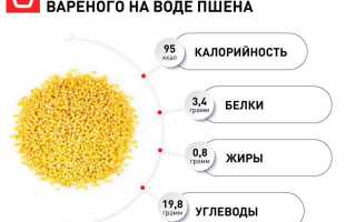 Польза и вред пшенной каши