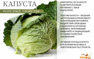 Польза и вред капусты