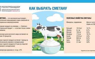 Польза и вред сметаны