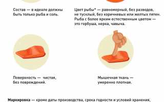 Как правильно выбрать семгу?