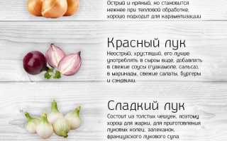 Как правильно выбрать репчатый лук?