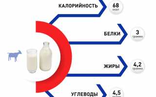 Польза и вред козьего молока