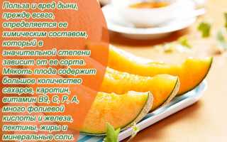 Польза и вред дыни