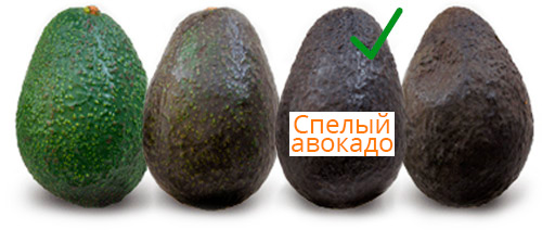 Степени спелости авокадо по сравнению с перезрелым