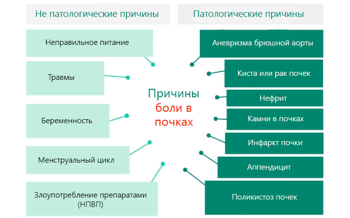 причины болей в почках