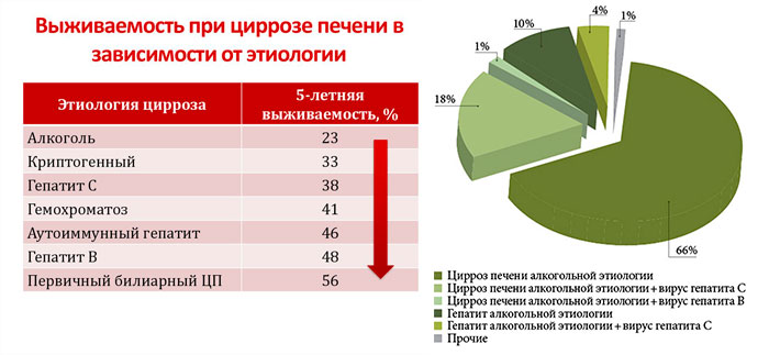 статистика выживаемости