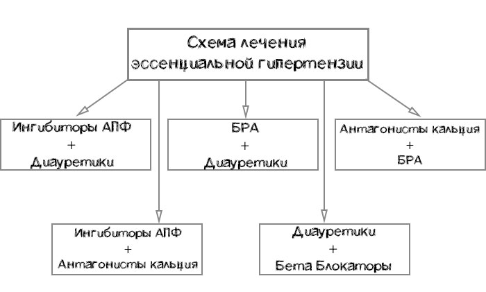 схема лечения эссенциальной гипертензии