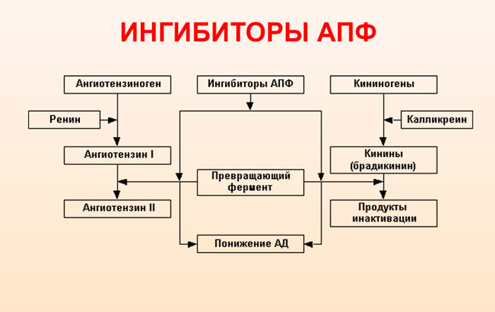 ингибиторы апф