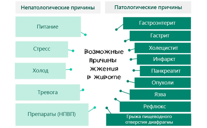 причины жжения в животе