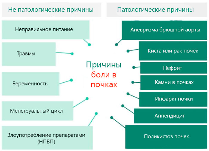 причины боли в почках