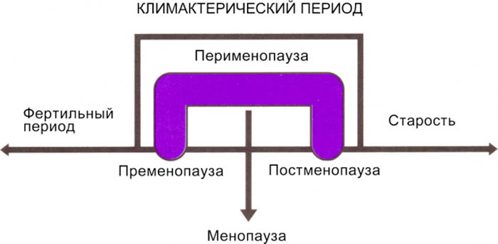 периоды климакса
