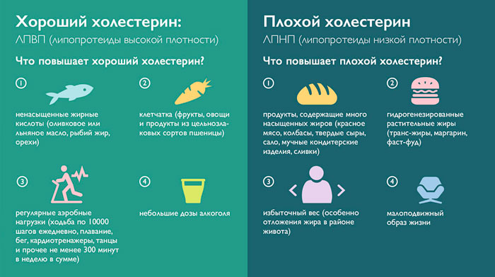 продукты для холестерина