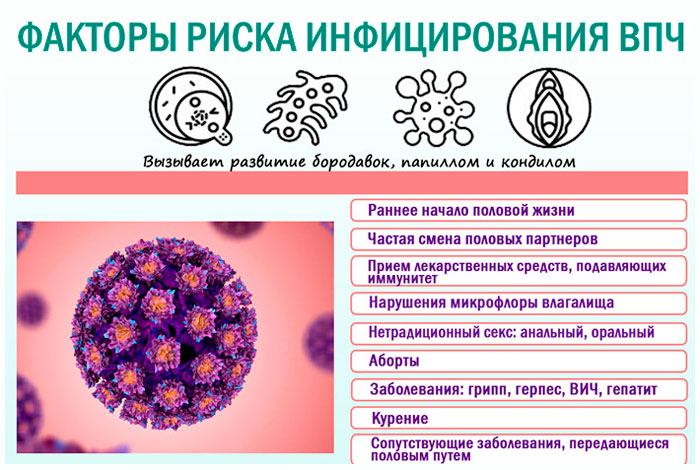 факторы заражения