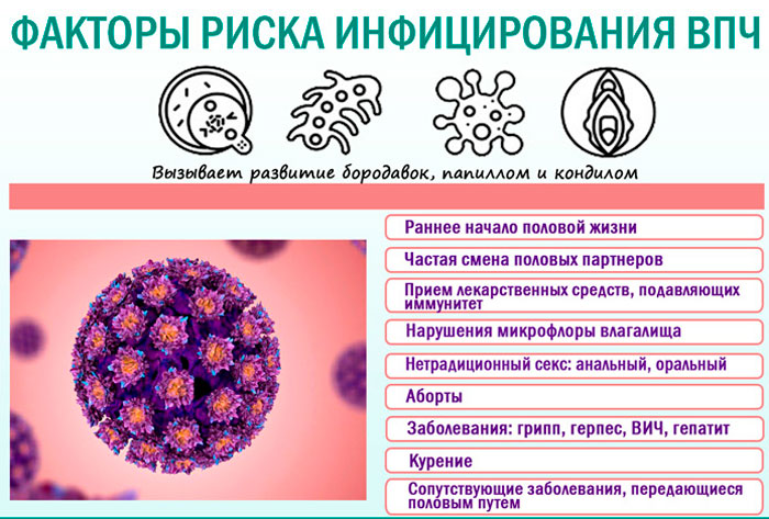 факторы риска ВПЧ