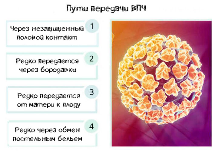 пути передачи ВПЧ
