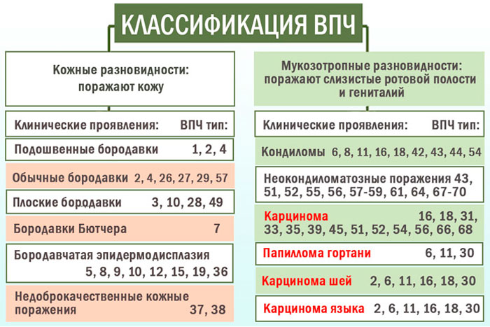 классификация типов впч