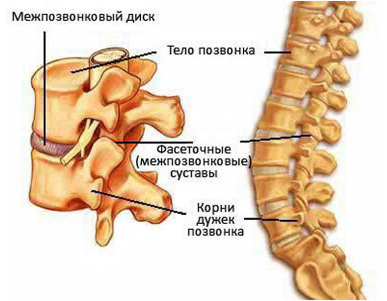 Дискоз