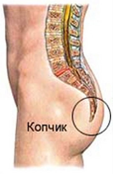 копчик