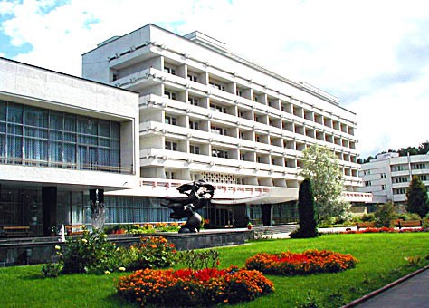 Сосны Беларусь