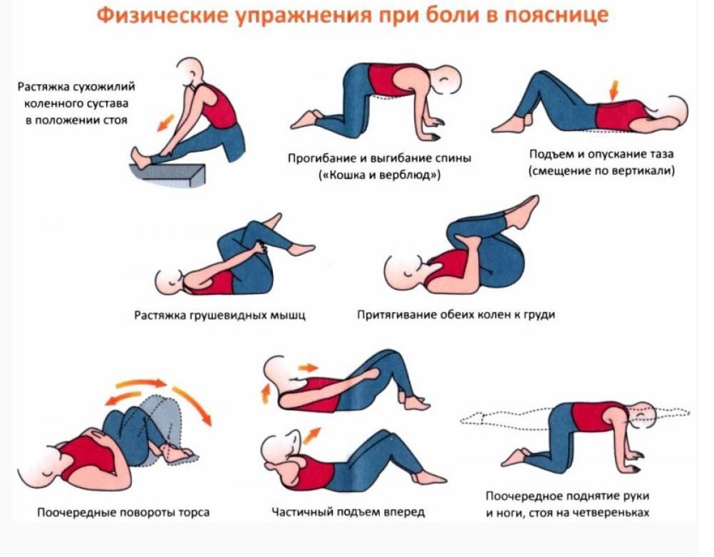 упражнения для поясницы